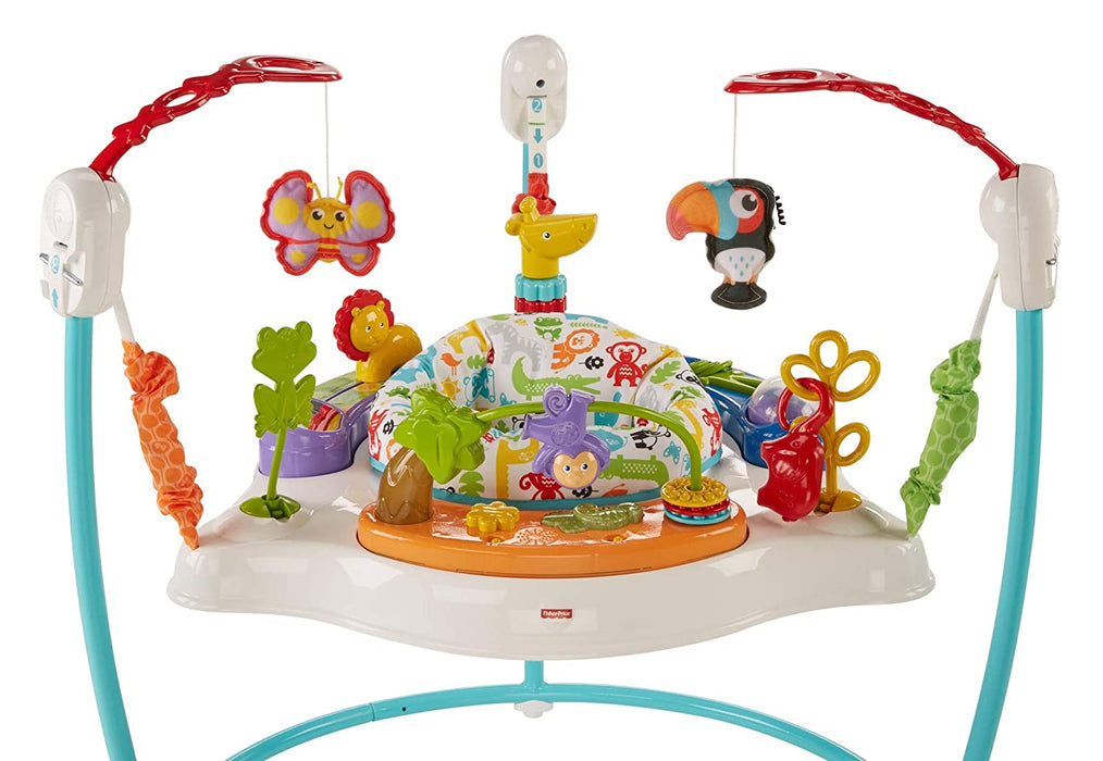 FISHER-PRICE ANIMAL ACTIVITY JUMPEROO — Little Luxury